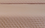 BLUSH - 1372 