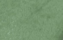 VERDE FOLHA - 9039