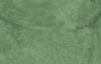 VERDE FOLHA - 9039