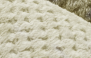 CERRADO - 1813