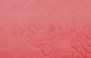 BEGÔNIA - 9051