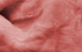 BEGÔNIA - 9051