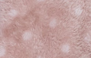 POÁ ROSA BLUSH - 50015