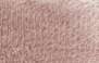 ROSA MOÇA - 9085