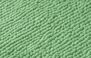 CACTUS - 3489