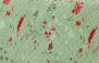 AQUARELA - 9069