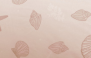 CONCHAS - 50014