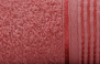 BEGÔNIA - 3345