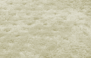 CEVADA - 1139