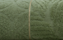 CACTUS - 3489