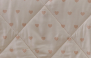 50026 - FANY