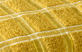2100 - AMARELO
